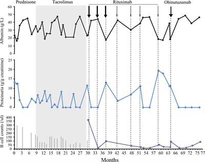 Case report: Effective treatment of rituximab-resistant minimal change disease with obinutuzumab in an adult